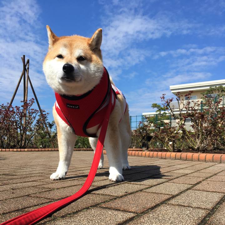 5b92f2f0 0d90 48ae 963d 6b355589b4d4 1584239497464