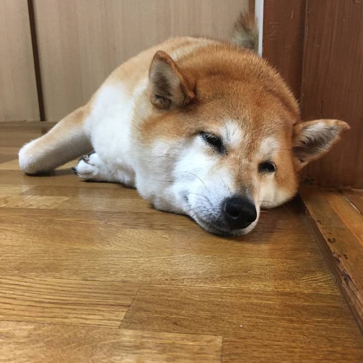 5b92fd73 d4ab 4e95 8a2f 77ceefcbd997 1600305327060