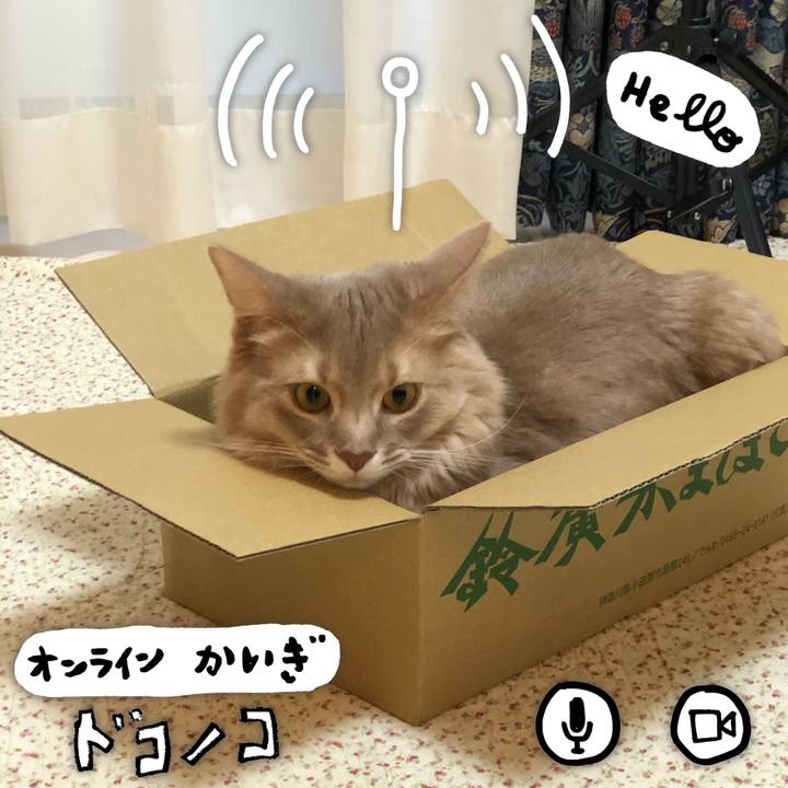 5b930e11 c323 4cdb 8060 be2c45f0abdd 1590798750802