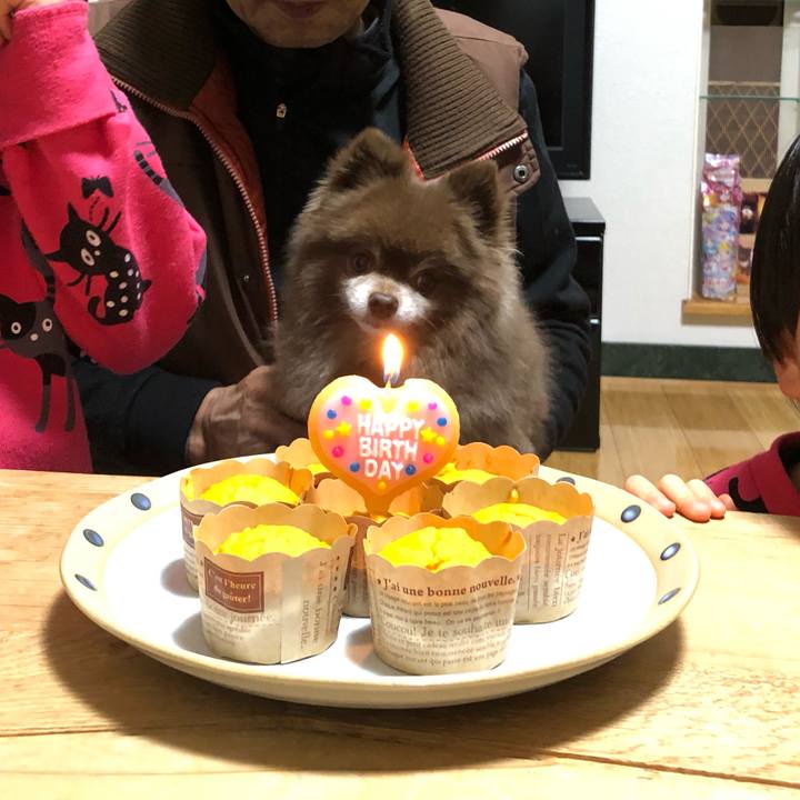 5b93345b 9542 442a 9039 97e4f672e1f1 1639984535281