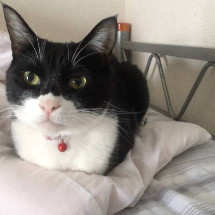 5b936892 0df7 433f 8327 983cd54f0155 1588986902535