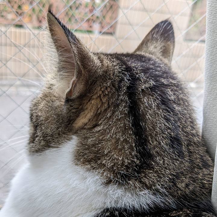 5b938670 fc1c 43f0 9f44 edf84de510c1 1686621397404