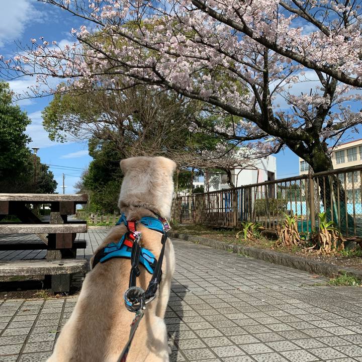 5b938938 39ca 43e4 8b30 e6e8c6e101d2 1648363345664