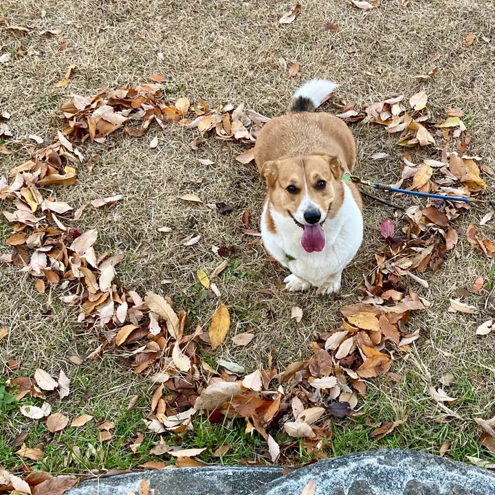 5b939422 accc 4da6 926d 9d71a5fa8000 1702515719081