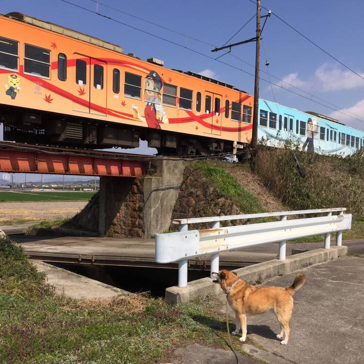 5b93bc00 1474 4502 92af 21f3e0185edd 1585301670299