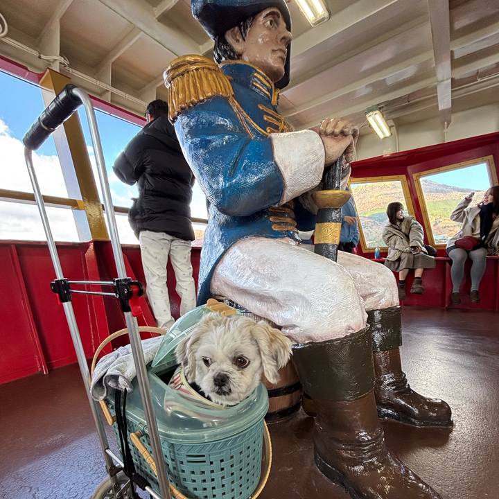 5b93c2f1 3a28 49e6 aefa 84f8cd1a1fae 1763415978944