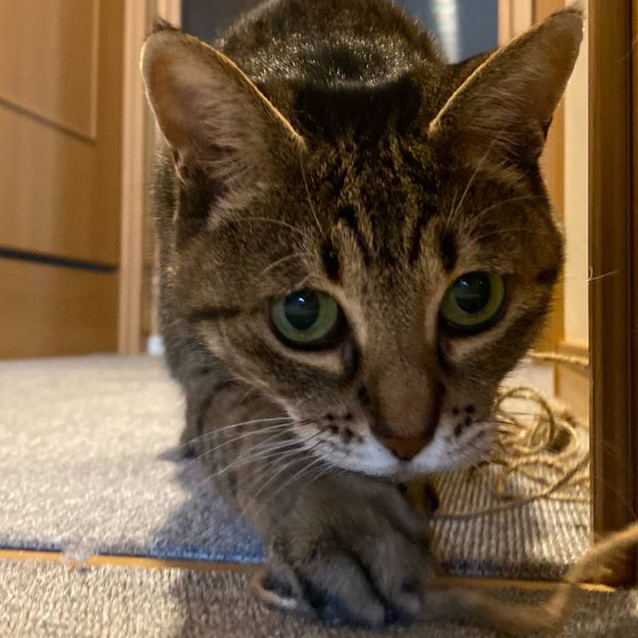 5b93cf04 04bd 450c b9eb 6f88c2f684eb 1762994376181