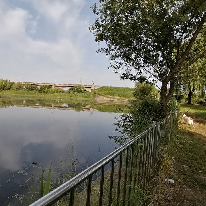 5b9449ca 25ce 4710 a6b9 403f73dbf23f 1591660318633