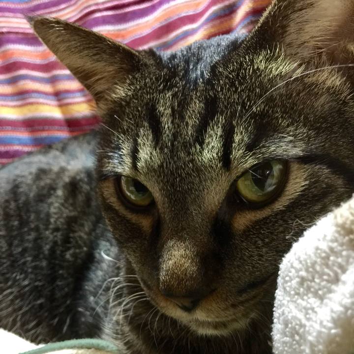 5b947d58 8d36 43a4 9938 405dccddb0be 1518499613019