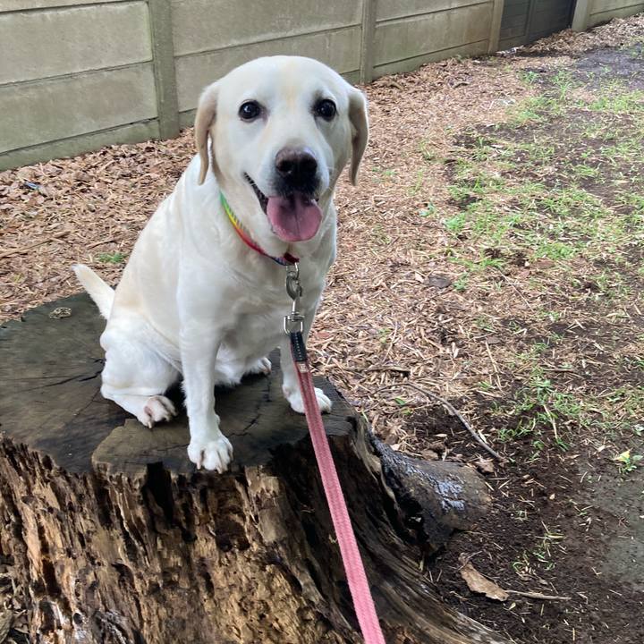 5b949591 c712 4b75 bb3e 8820a4269157 1752709978583