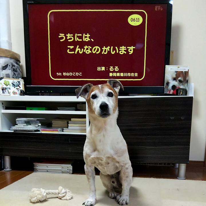 5b94a3c6 d128 4d3e b056 8987d2ef8e9a 1555020328657