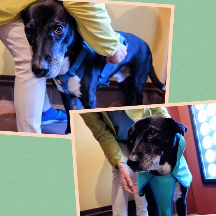 5b94c873 d146 4fc3 a099 61980c8bc3ca 1730248049652