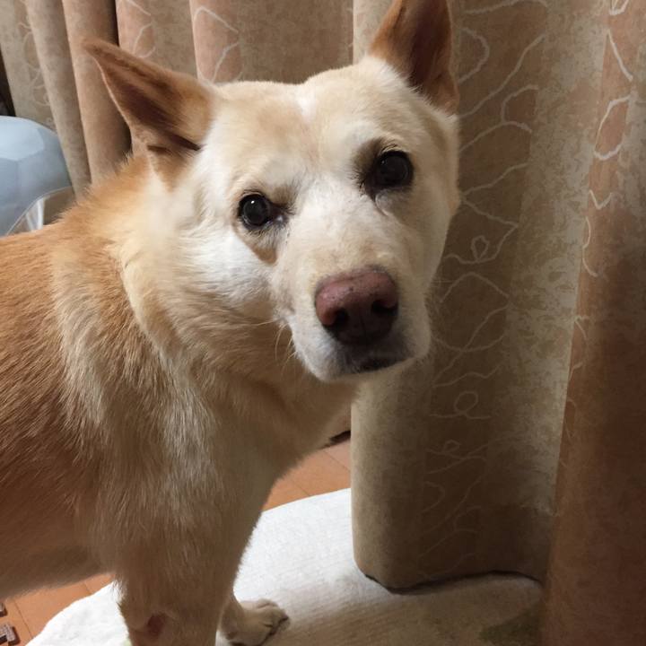 5b94cb4d 8a0f 4f5c 9ead 6ad8f966ee3c 1519951222613