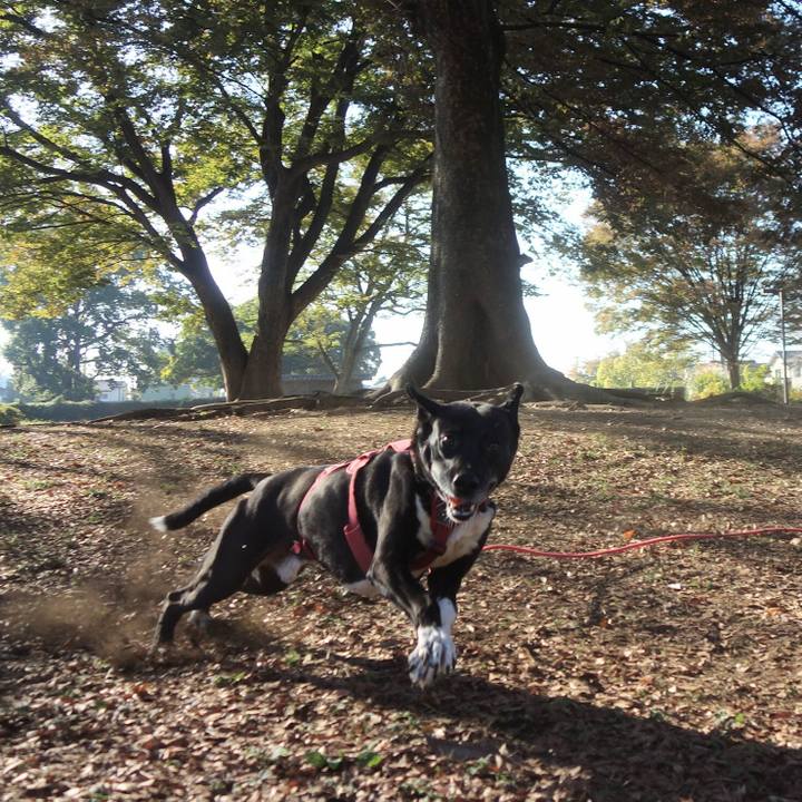 5b94e05b c44d 41cb 919a ffc7ec632098 1699059822202