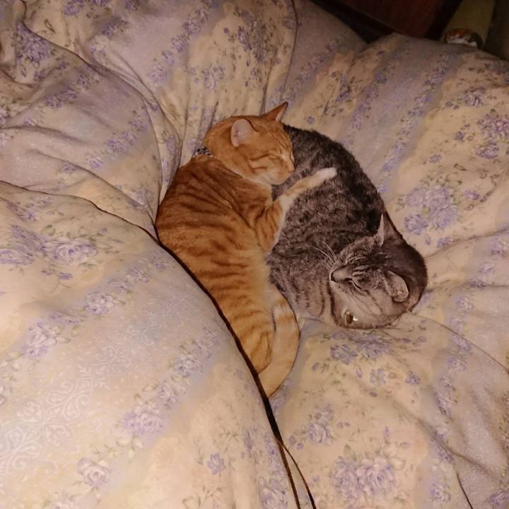 5b951ed9 1dc6 49e2 8530 54c2d98dbdfe 1573407430465