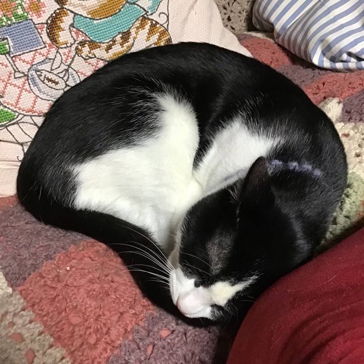 5b952657 ac14 4714 92b5 51adc3ee00dc 1642415945483