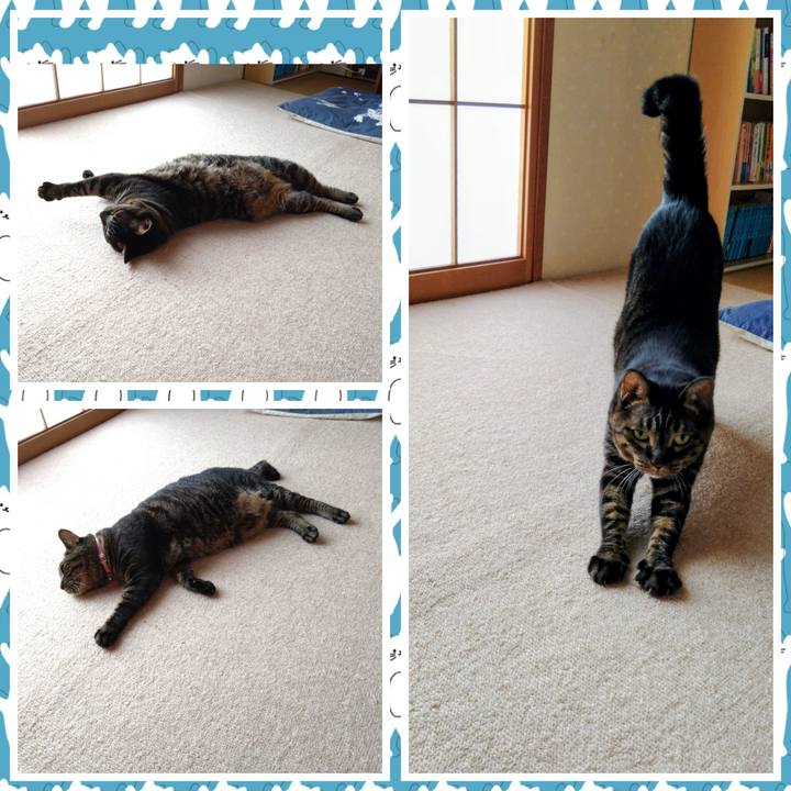 5b952f69 b274 4a1a 8f8a c972906c97d1 1758065636022