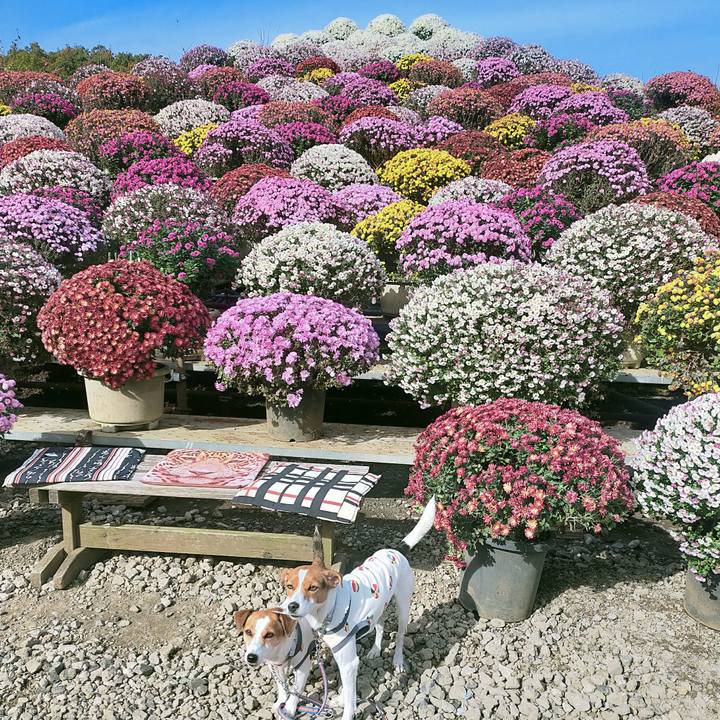 5b953088 5593 43af a169 742f5023ef9f 1763889208321