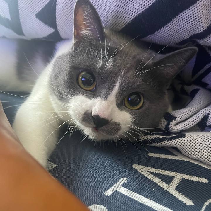 5b954467 2453 47f7 ae50 9e770ffdd5a8 1691624575821