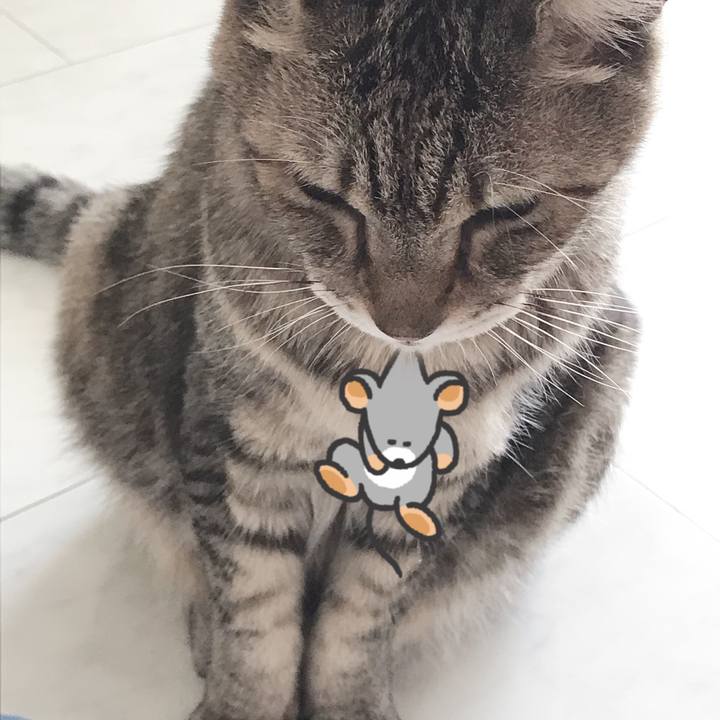 5b955634 04d3 456f 9e57 7731146740ad 1591770142902