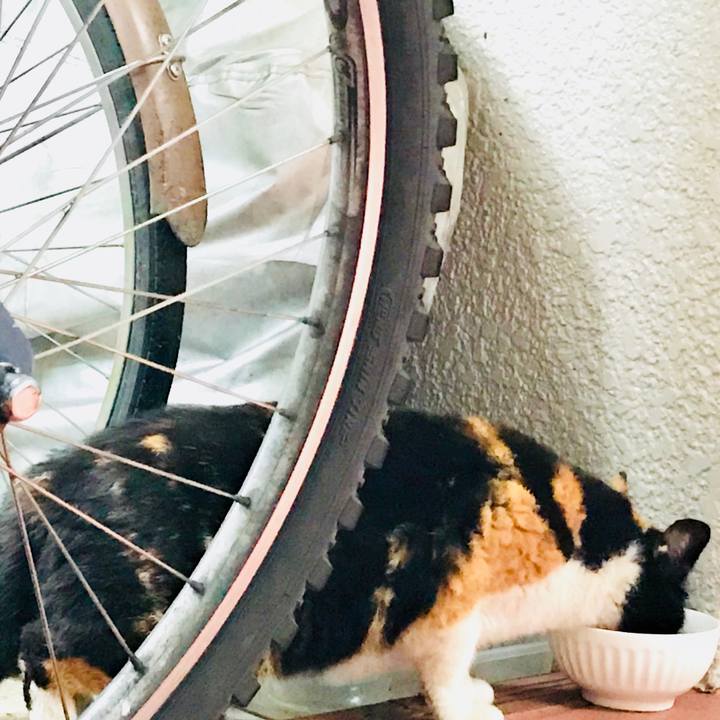 5b9569d6 82ab 4de9 a036 fd7fb157de02 1528684012879