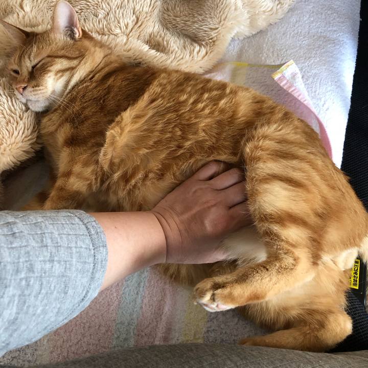 5b957d29 870b 4916 b2c9 8e1830ce52fd 1587446935144