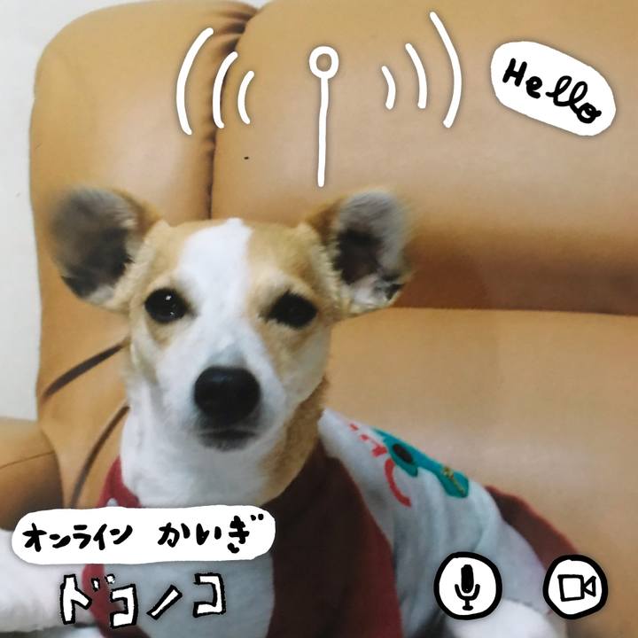 5b95bfd5 1279 43ec a966 5fe71d874bef 1590884369356