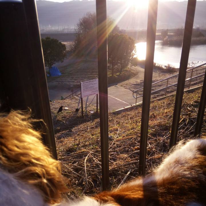 5b95c55a 13e9 4511 b846 f8d71137c3ec 1518133815783