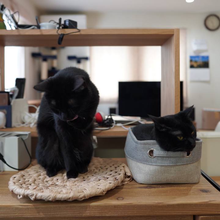 5b95c74e f1d9 4000 af9b e5f29d3e49cf 1589552394045