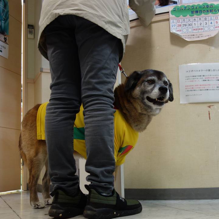 5b95ec96 af64 41e5 901b bafce361f515 1556982440050