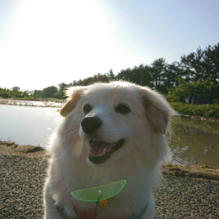 5b95f650 5b7b 46a8 bc7a c32c50b6515d 1525989513067