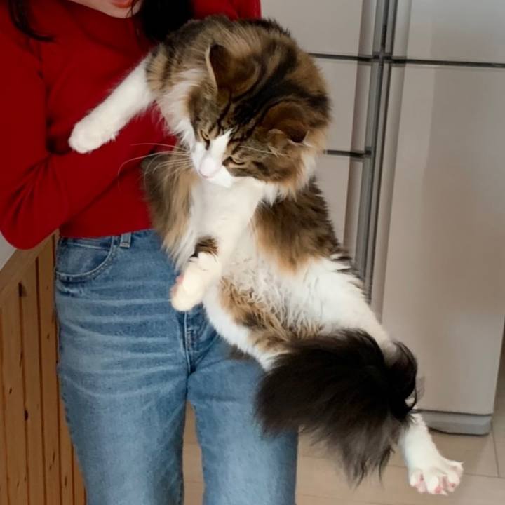 5b967295 6b88 4bce a215 249547c886db 1650887575915