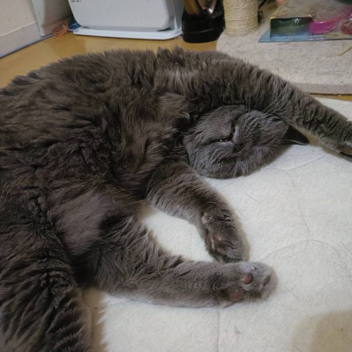 5b96a745 c5a9 44a8 9d92 c580cbc1c9cb 1758179860406