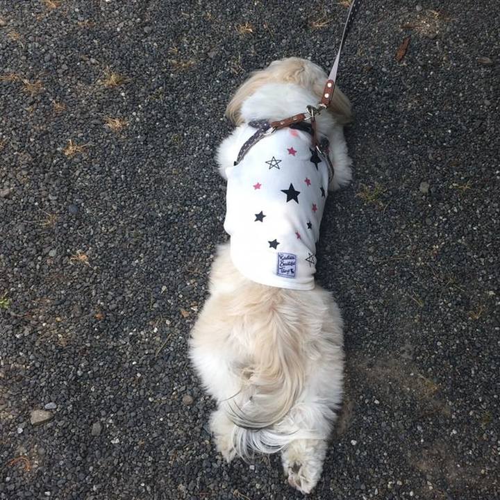 5b96b747 ef6a 4092 a96f 3815a8f6d900 1558879881836