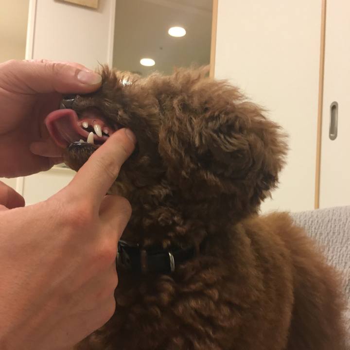 5b96fda8 0d2e 4364 8fe8 c2eb762cf376 1529108433851