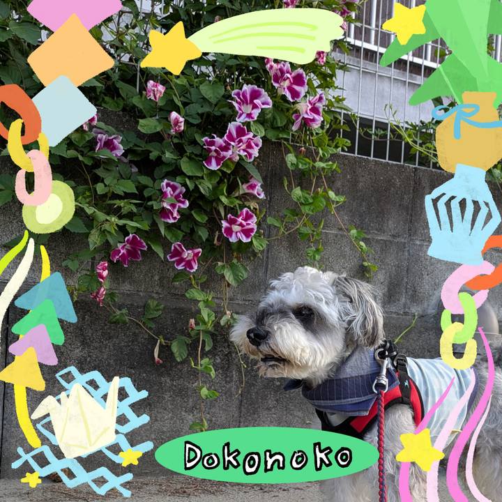 5b9751d8 eefa 4f25 850c 12a932abffba 1755481350142