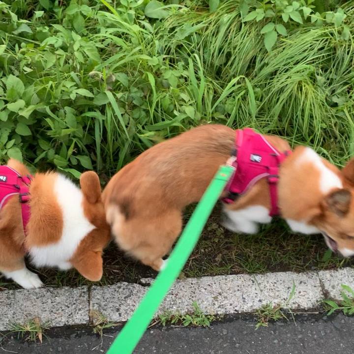 5b977a22 1d46 4726 8c6a 9f056a7e9ba6 1626089775760