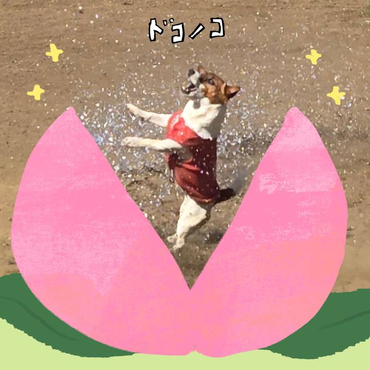 5b97bc2c e346 4680 8eaa 5f762e2ffcd2 1771826182657