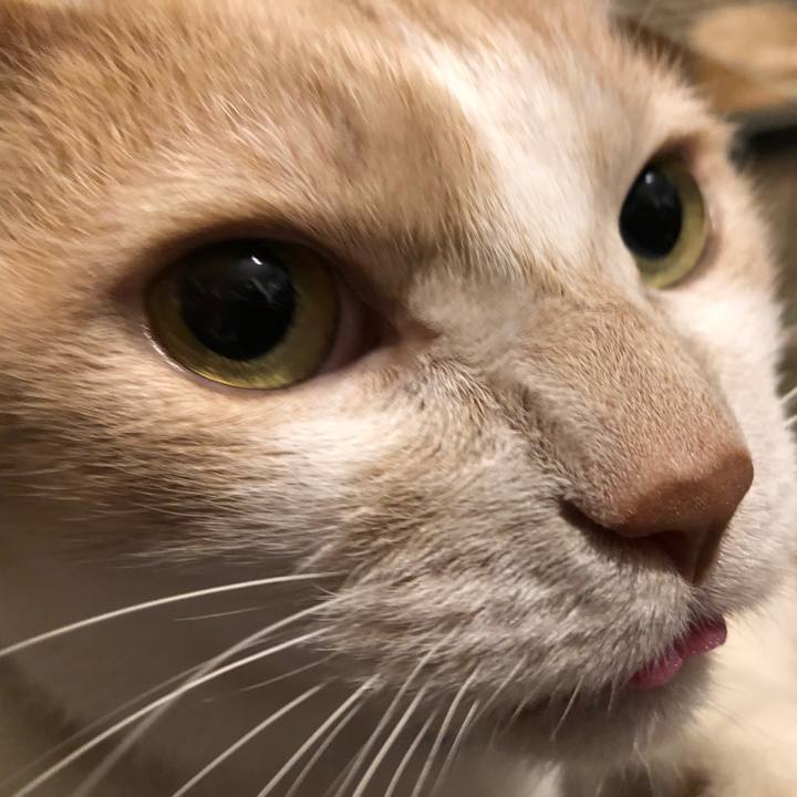 5b97e583 5302 4210 8114 b0b769353e53 1523965078862