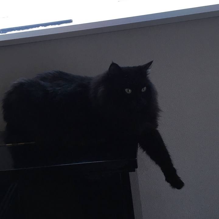 5b980164 5949 42c0 a345 79427d3af93f 1546083081063