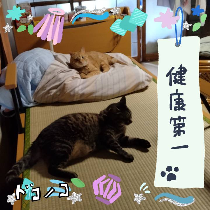 5b980abc 0c3d 4d57 b487 d3bb964b2467 1720779336202