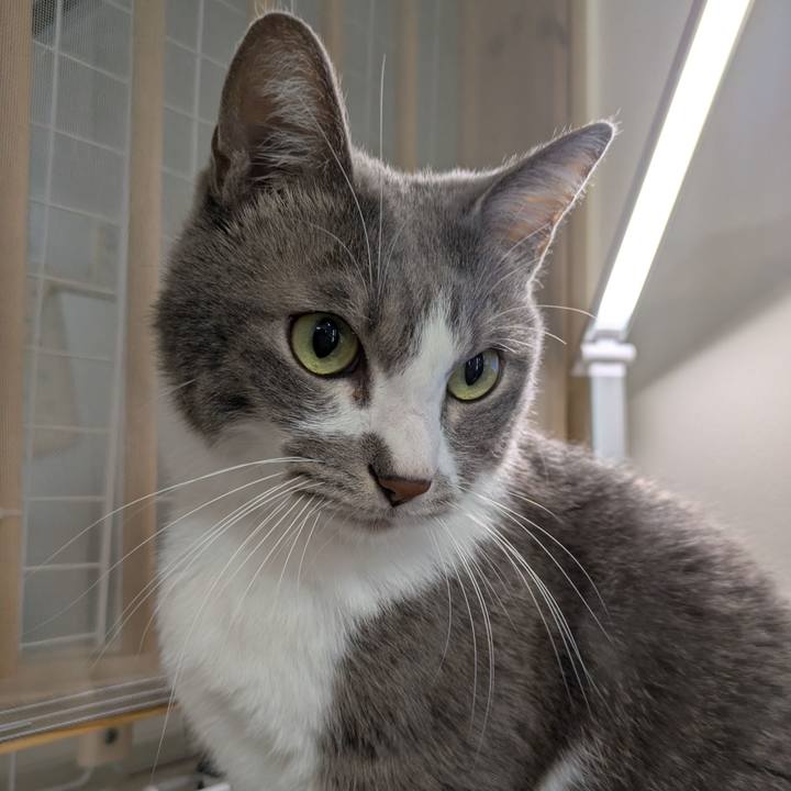 5b986de0 a257 4c26 a13b c2e7c522983e 1732600298318