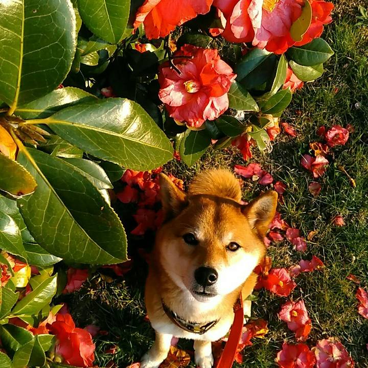 5b98767b 4a73 4fa7 b5e5 71c38bd8ef84 1553589185263