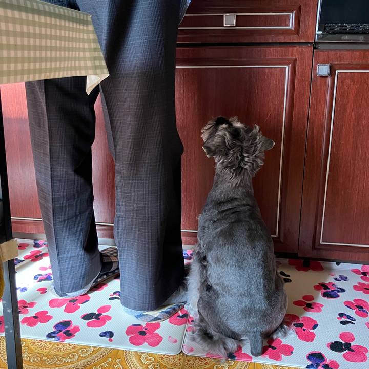 5b9889c8 2868 4e89 beb0 9e7ec6de1a01 1730689513649