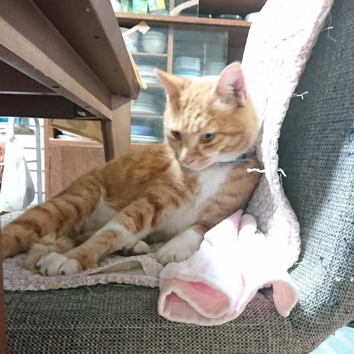 5b988f0d 252e 432e 8b70 6bb93ad5fa42 1604657693421