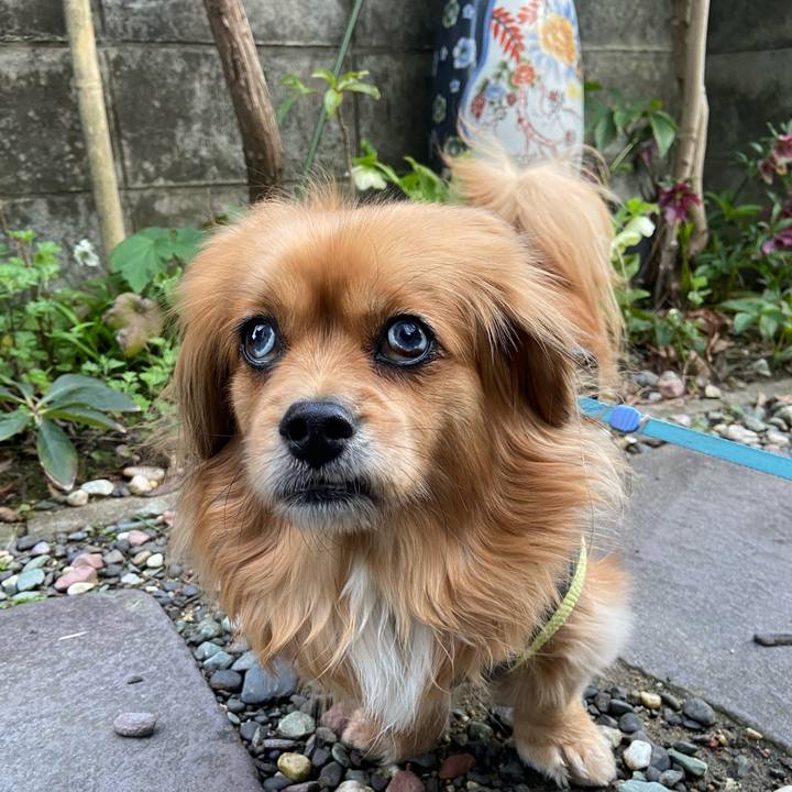 5b99969d 9664 4bd3 8f0e 168003548f53 1616708038068