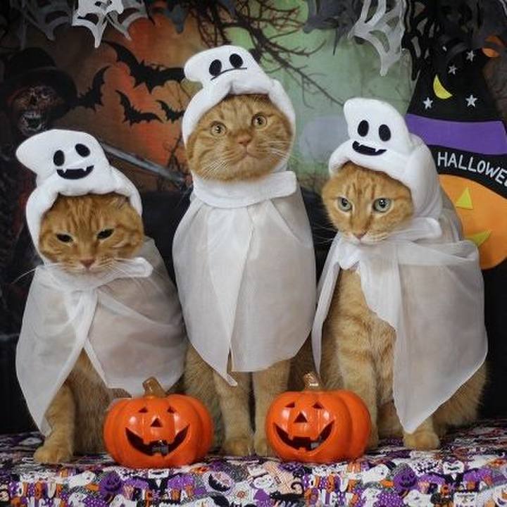 5b99a053 17dc 4f05 b2bd 97b5949e0cc6 1603774712862