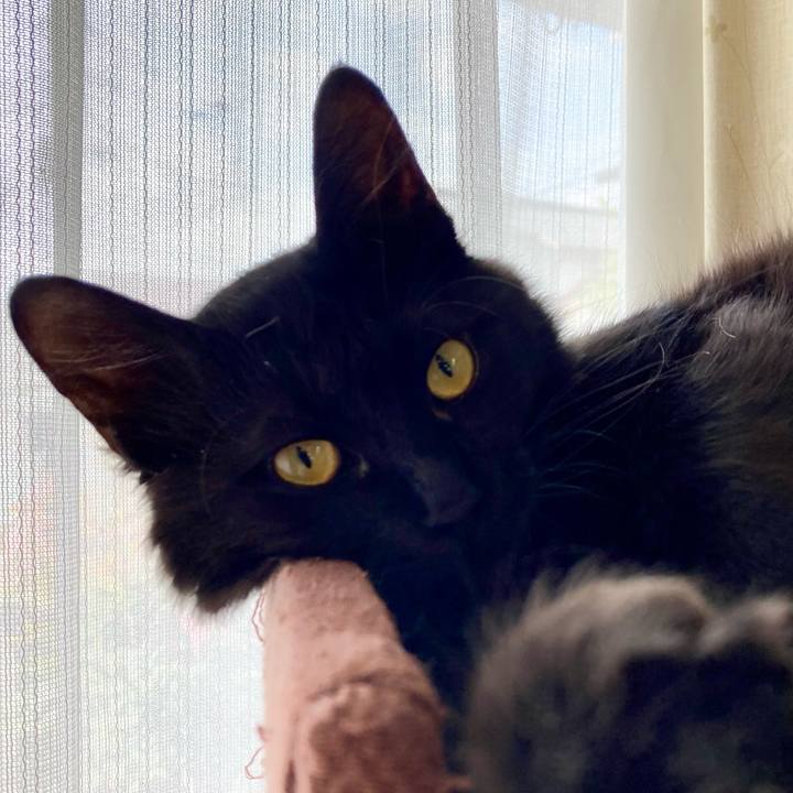 5b99b481 2e9a 4df6 851f f797297771fb 1711251221101