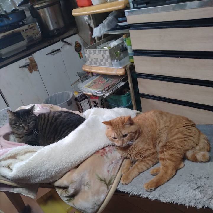 5b99be0e 78ab 45cd 8db6 4e78eeba218d 1676356642965