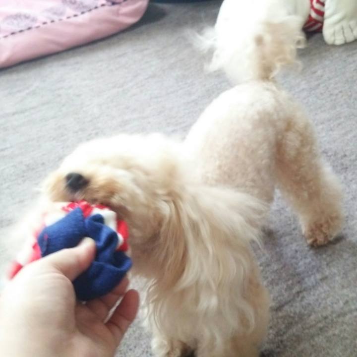 5b99c779 fef6 4a68 a35c 033feecb4d7e 1529577446158